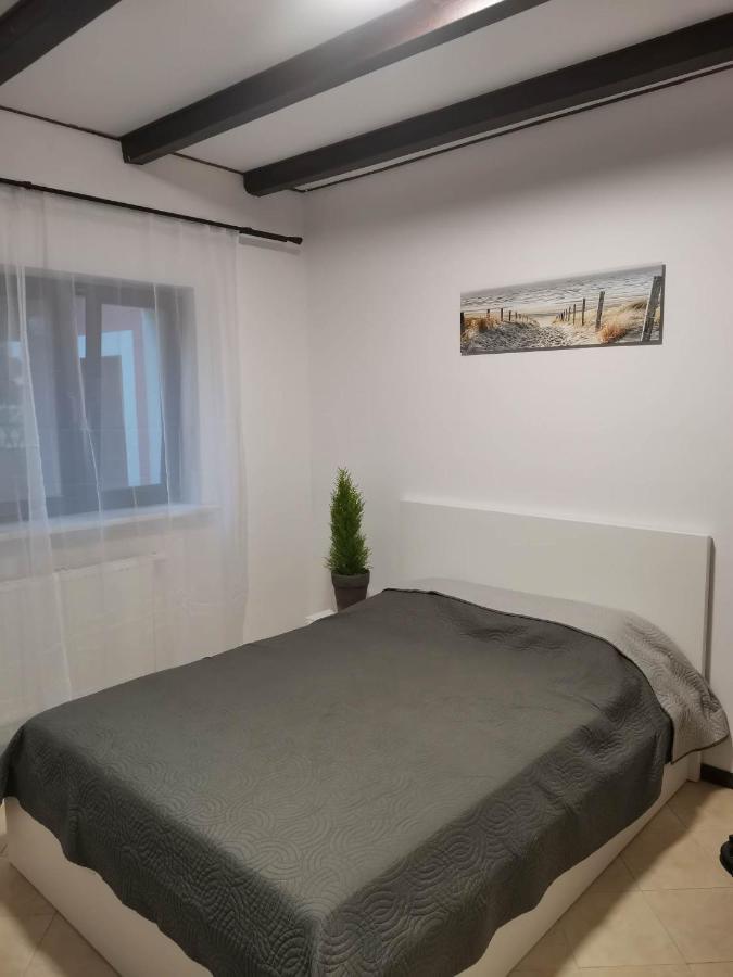 Urocze Studia: Sauna, Kominek i Ekonomiczne Opcje Blisko Warszawy Lomianki Exterior photo